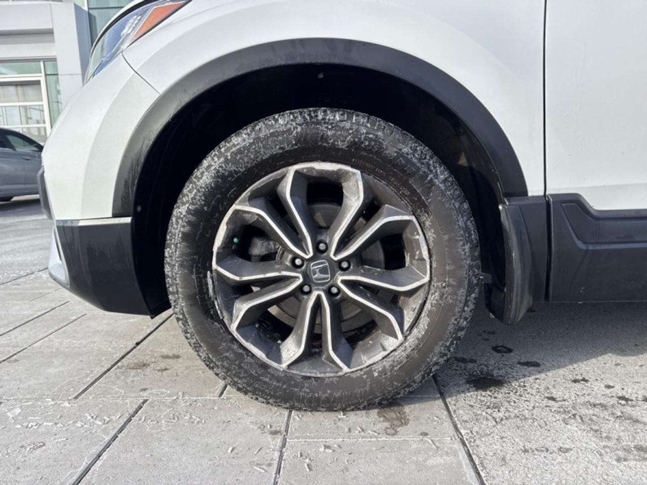 2021 Honda CR-V EX-L  - Sunroof -  Leather Seats Photo