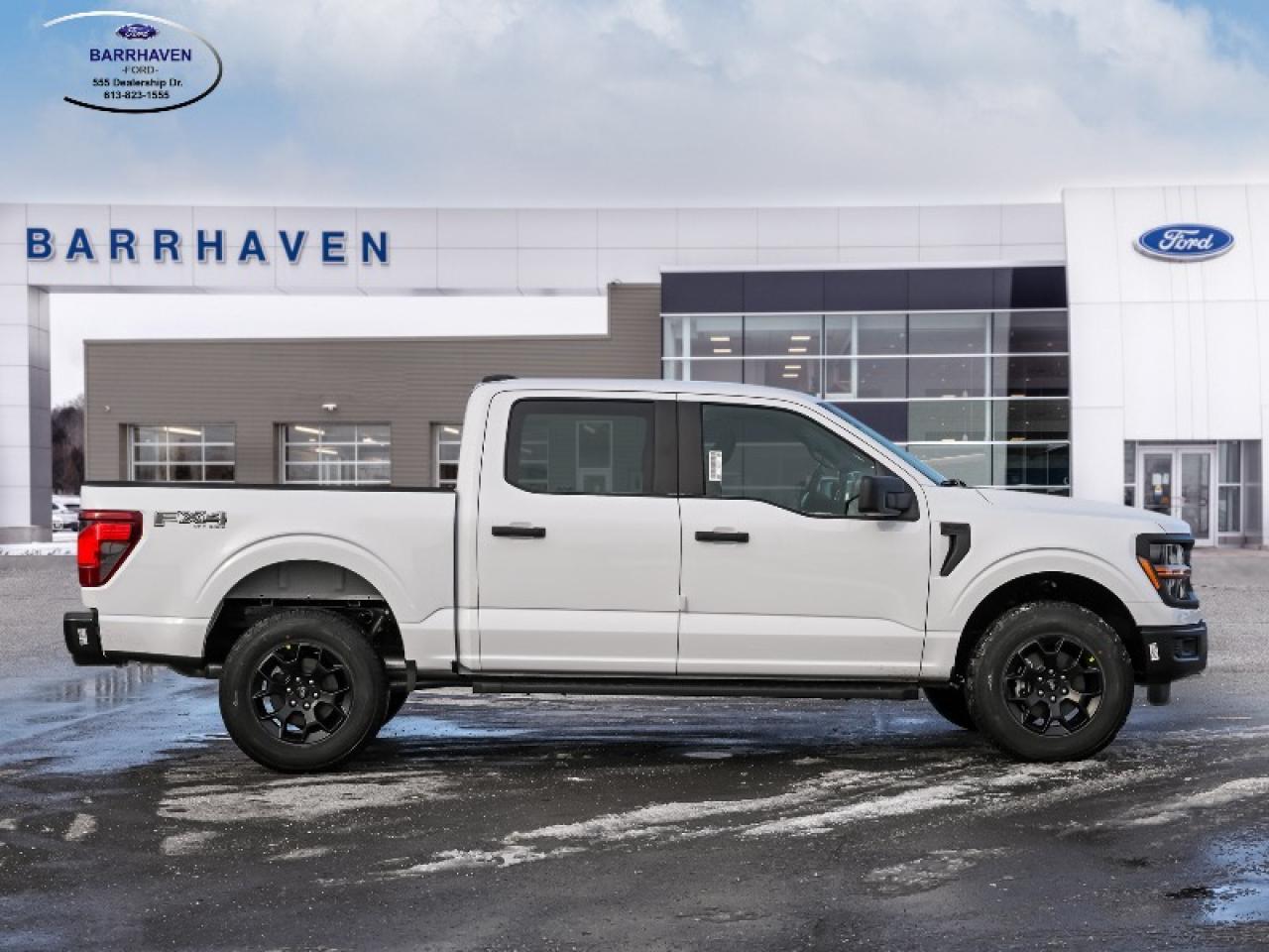 2025 Ford F-150 STX Photo