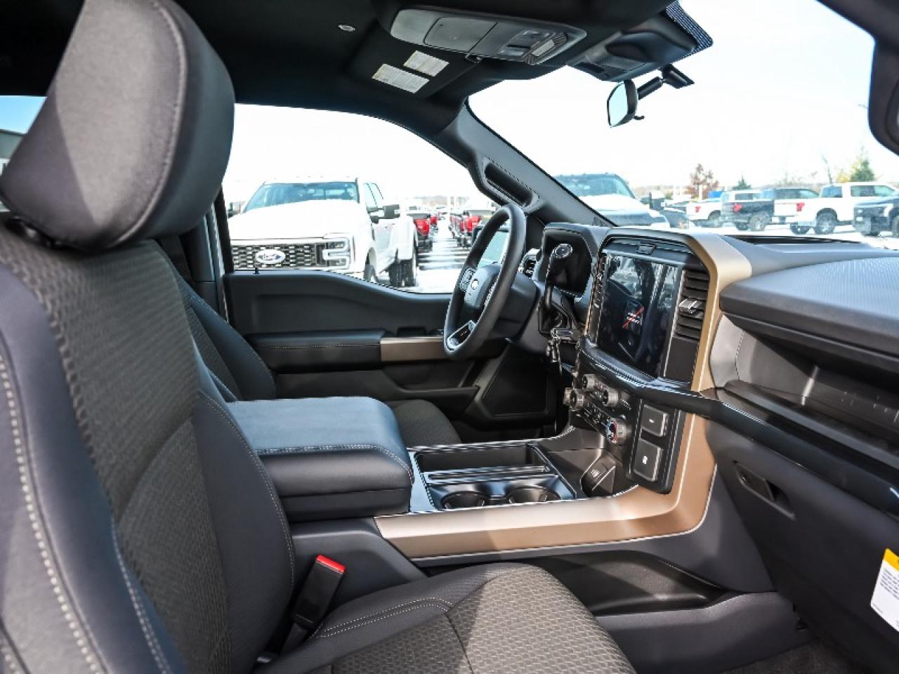 2025 Ford F-150 STX Photo
