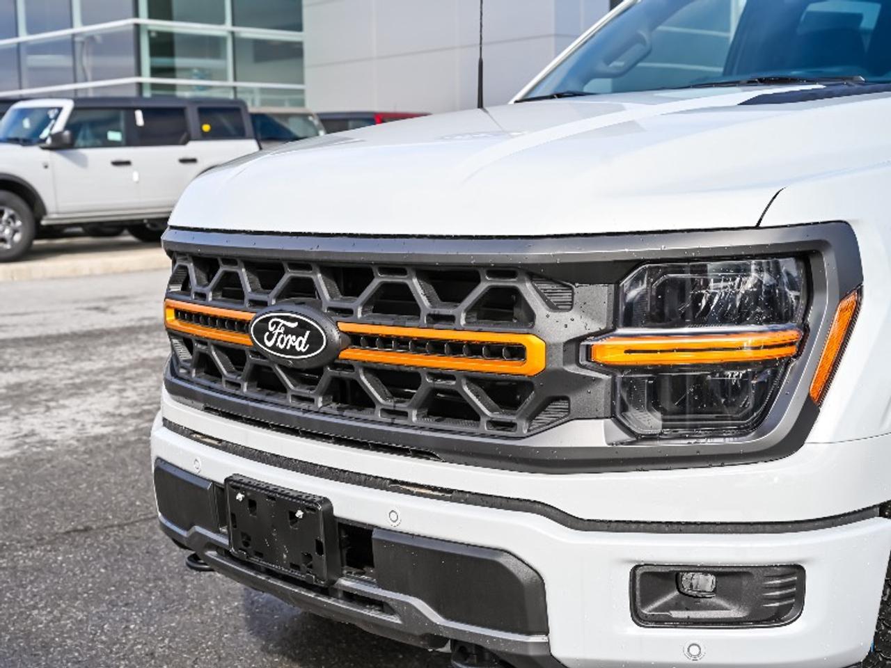 2026 Ford F-150 Tremor Photo