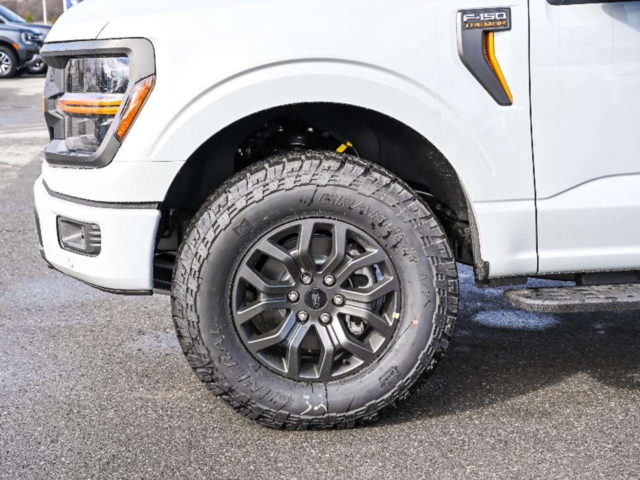 2026 Ford F-150 Tremor Photo