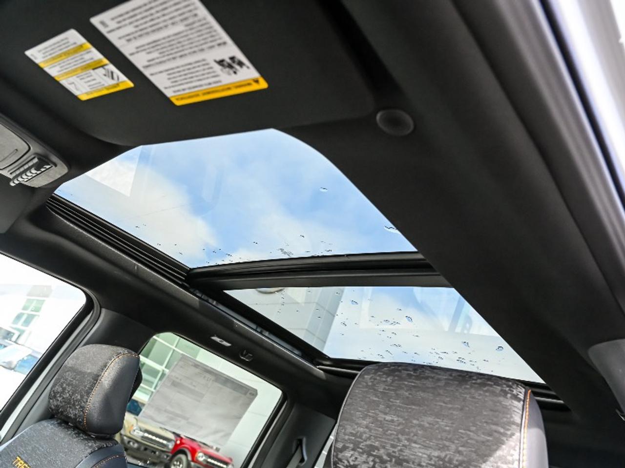 2026 Ford F-150 Tremor Photo