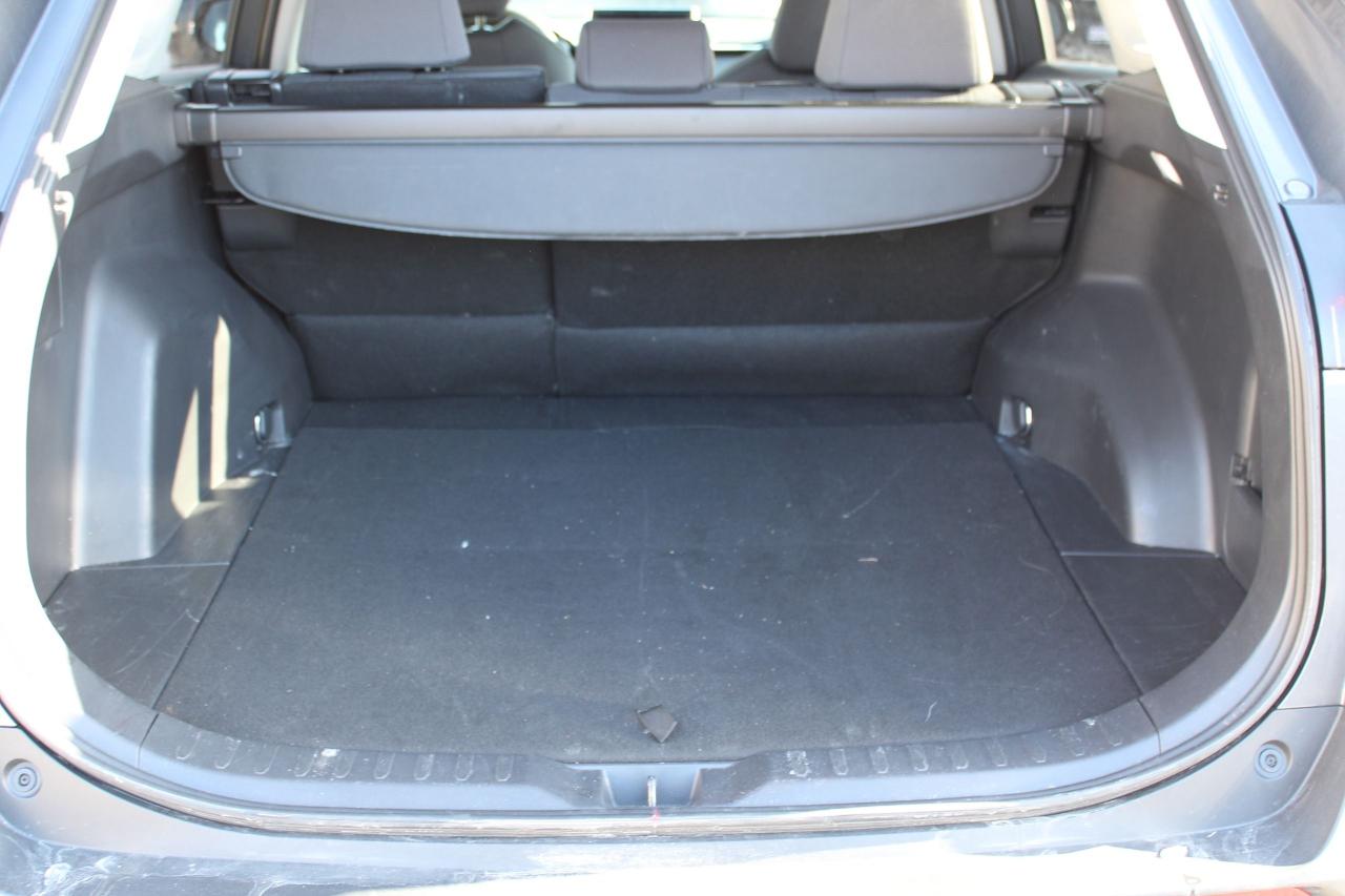 2025 Toyota RAV4 XLE Photo