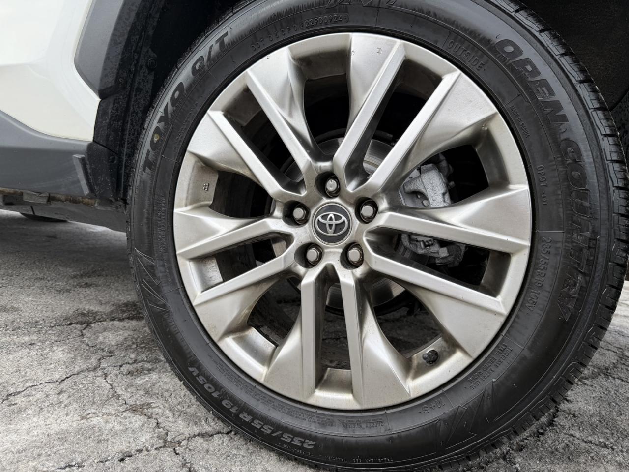 2019 Toyota RAV4 LIMITED AWD Photo