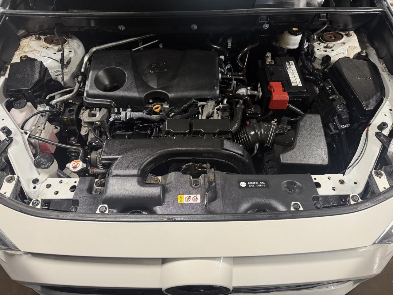 2019 Toyota RAV4 LIMITED AWD Photo