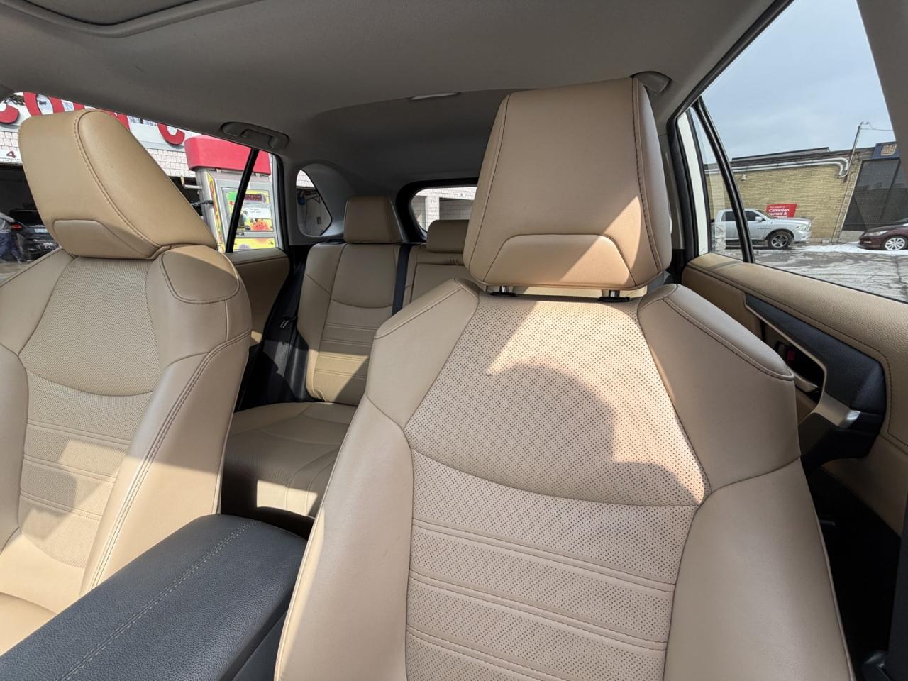 2019 Toyota RAV4 LIMITED AWD Photo