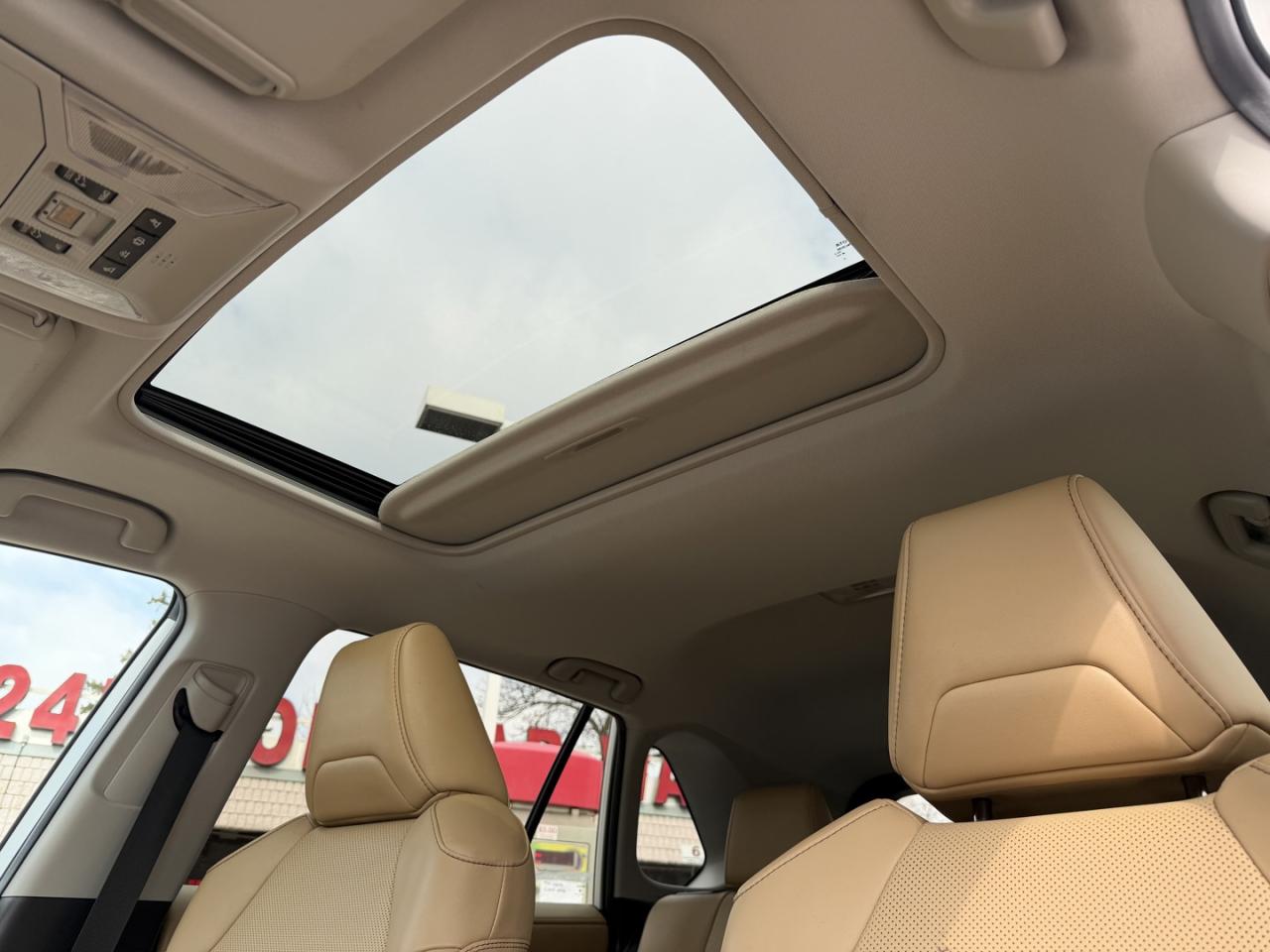 2019 Toyota RAV4 LIMITED AWD Photo