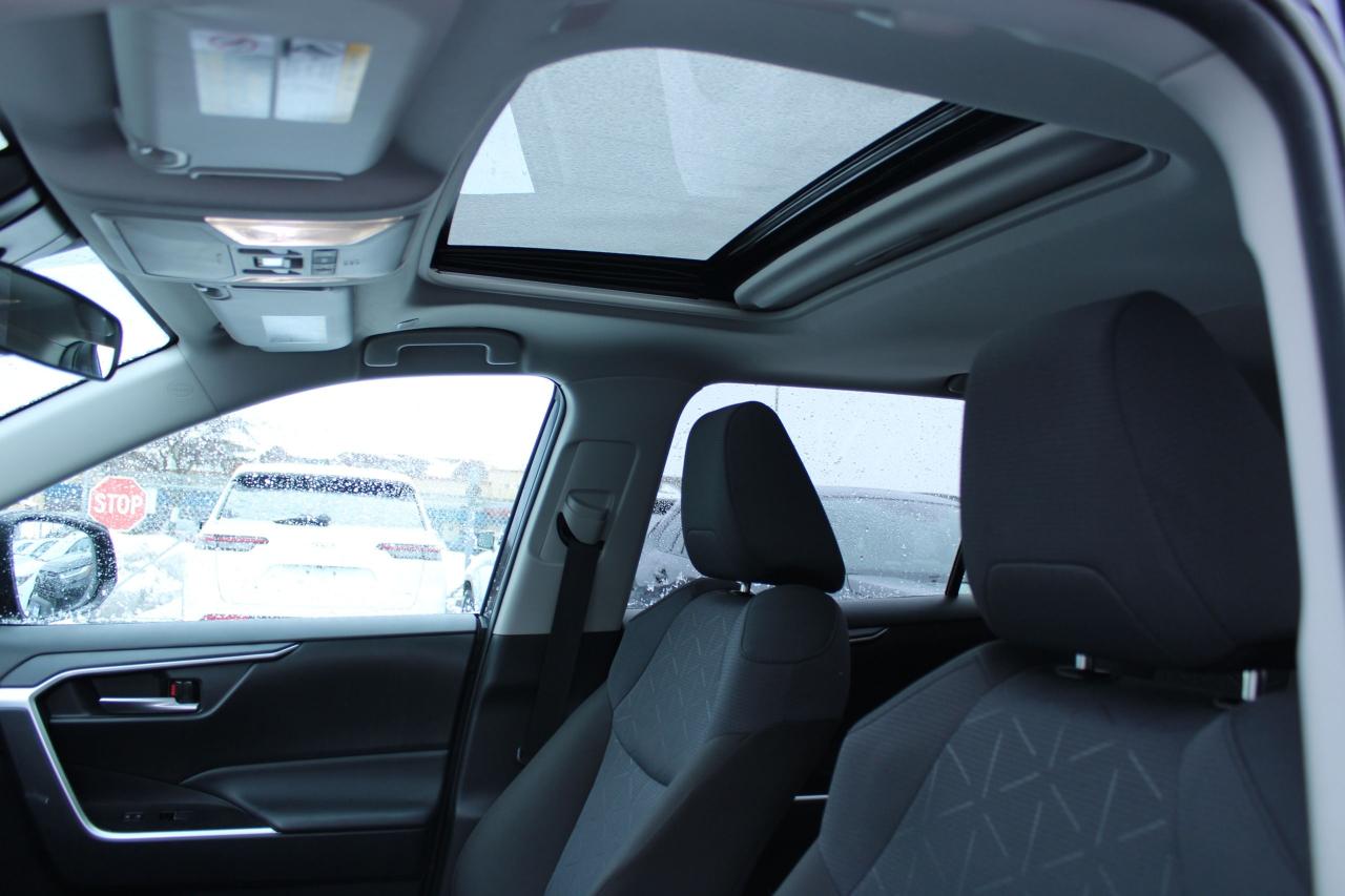 2025 Toyota RAV4 XLE Photo