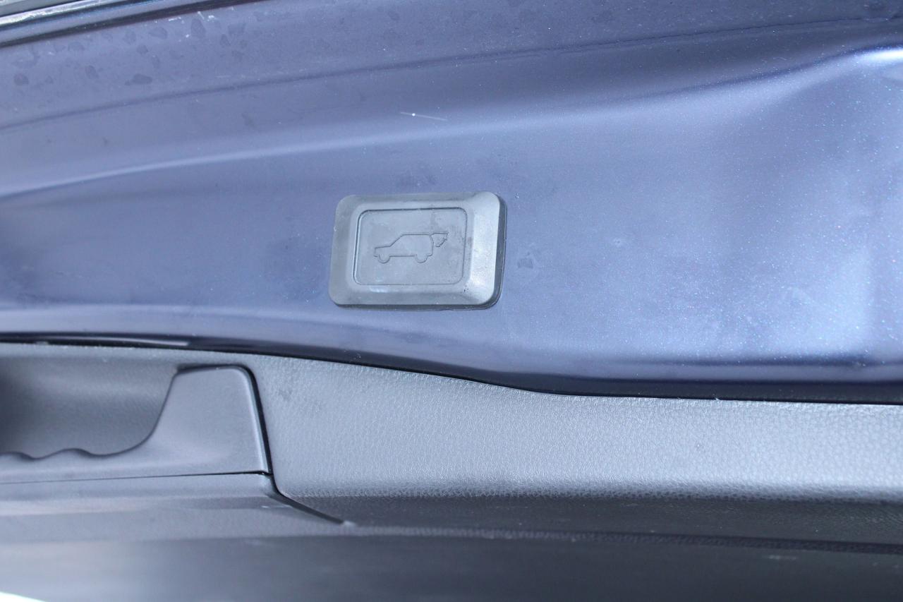 2025 Toyota RAV4 XLE Photo