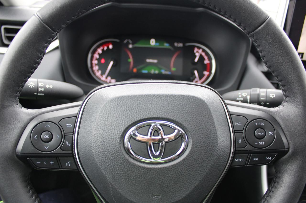 2025 Toyota RAV4 XLE Photo