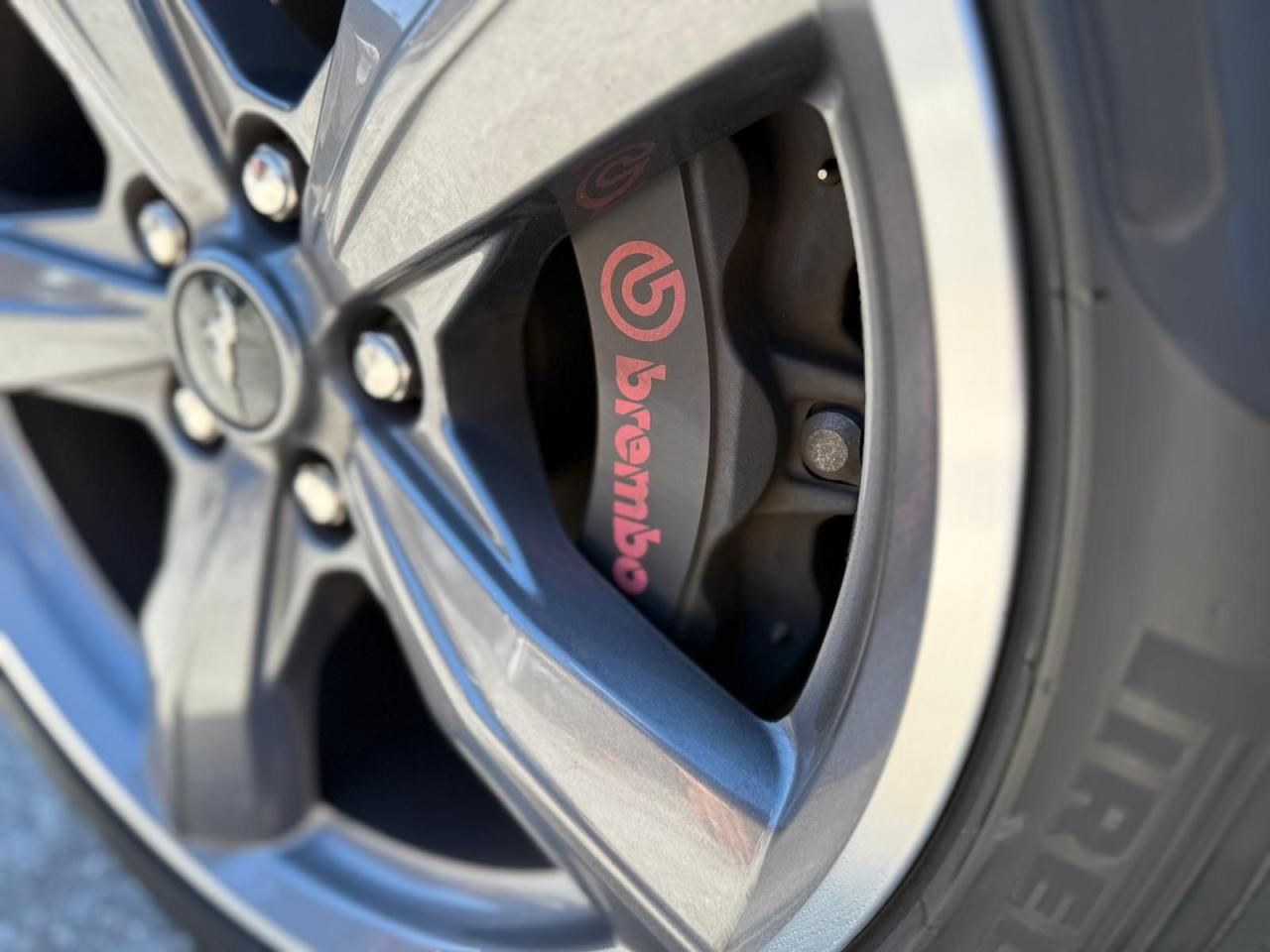 2022 Ford Mustang GT Premium CALI SPECIAL PERFORMANCE PKG Photo