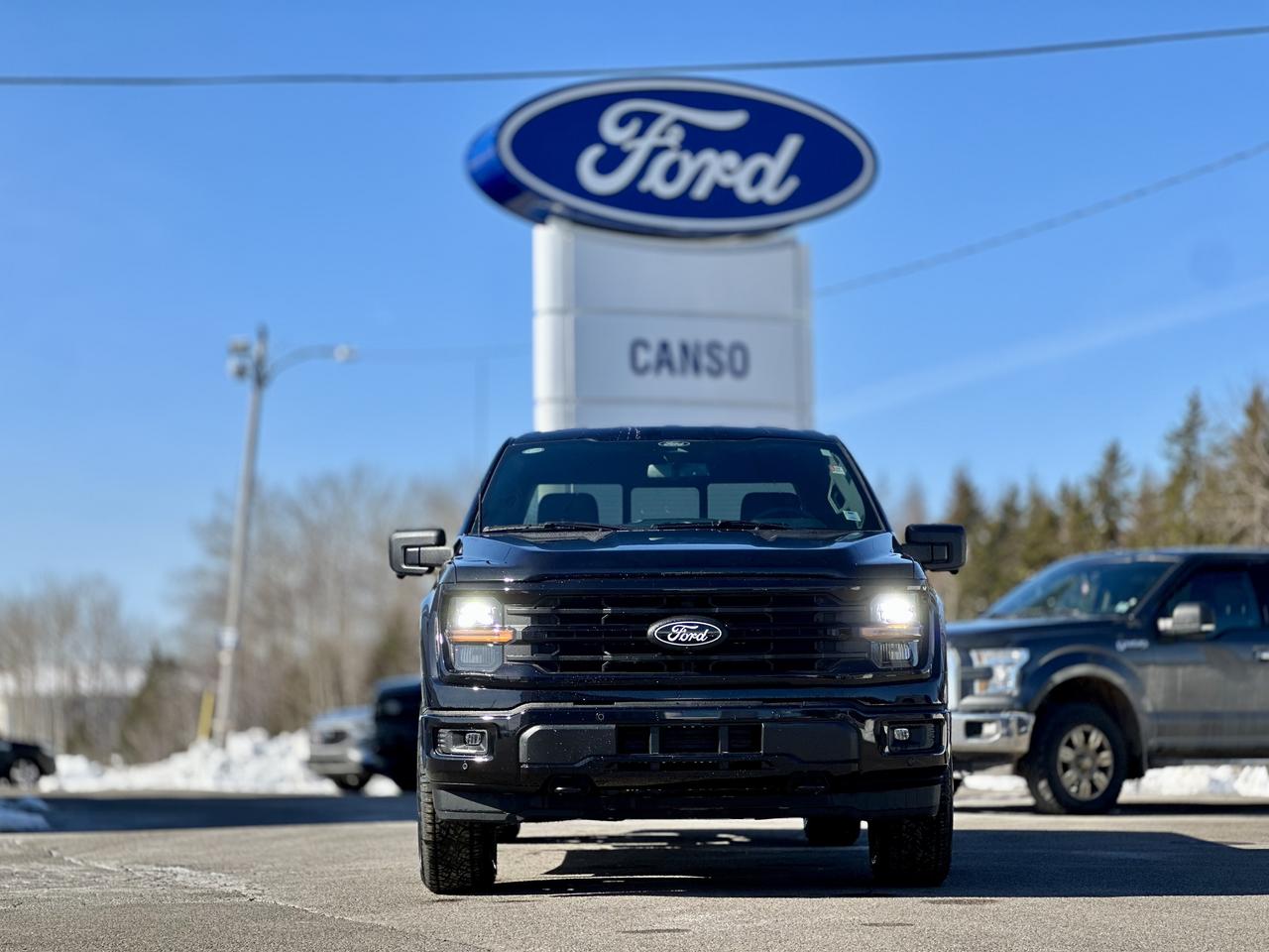 2026 Ford F-150 XLT 4WD SuperCrew 5.5' Box Photo1