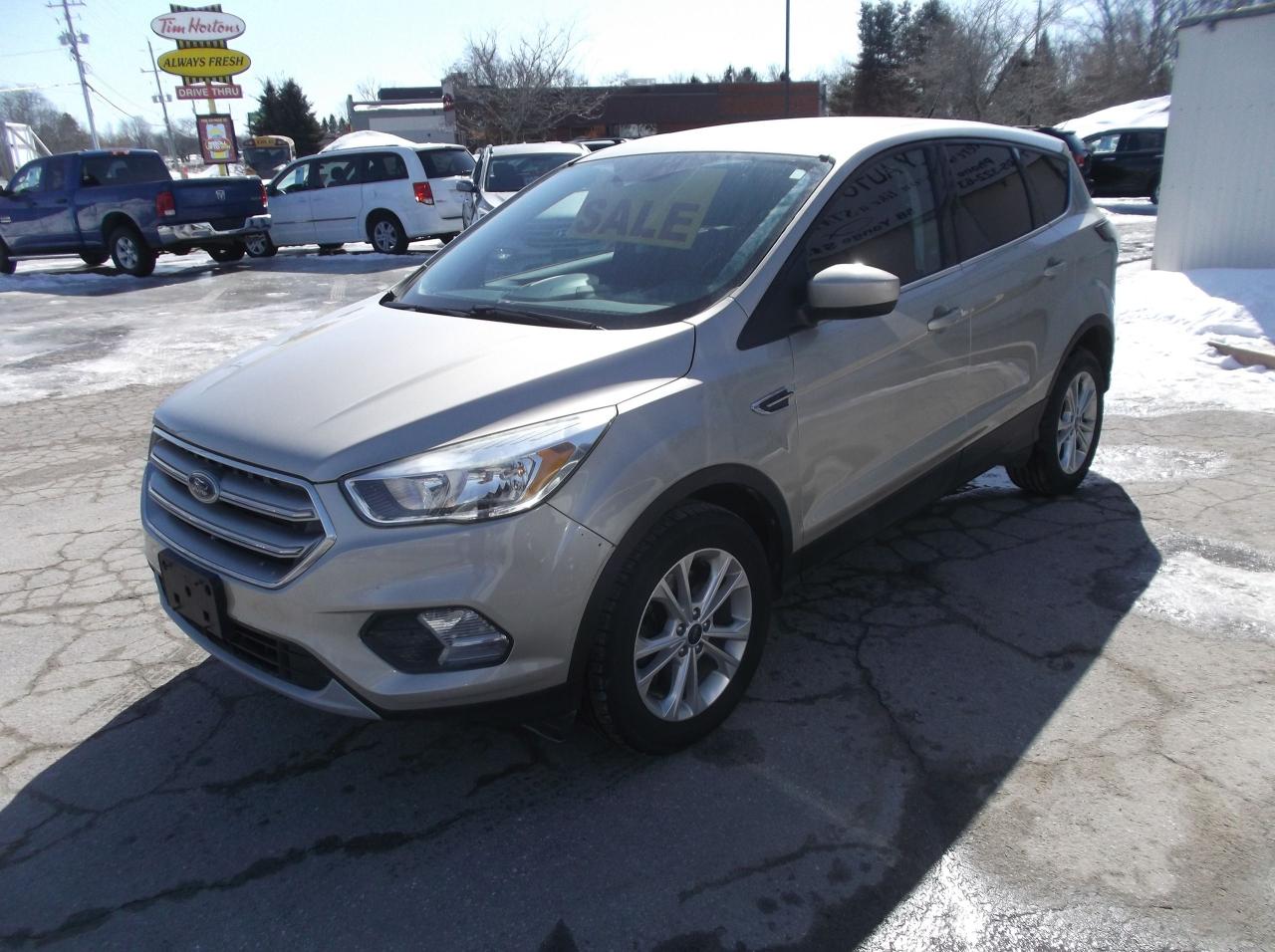 2017 Ford Escape AWD SE Photo