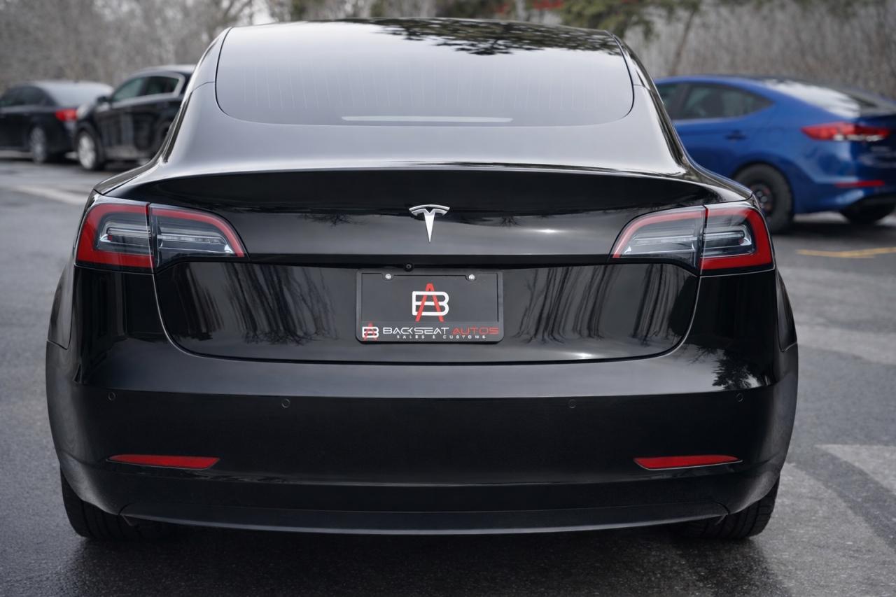 2020 Tesla Model 3  Photo