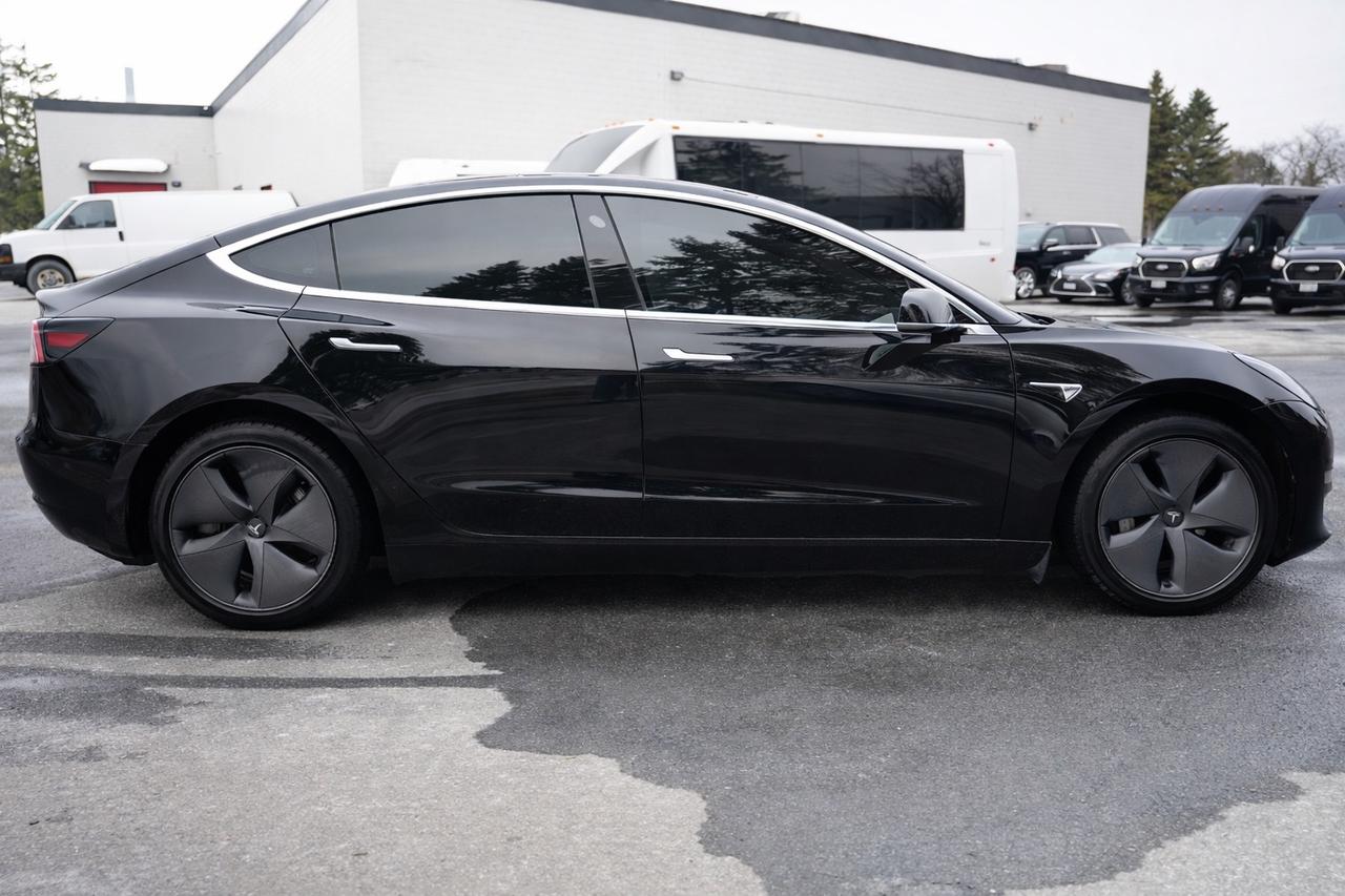 2020 Tesla Model 3  Photo3
