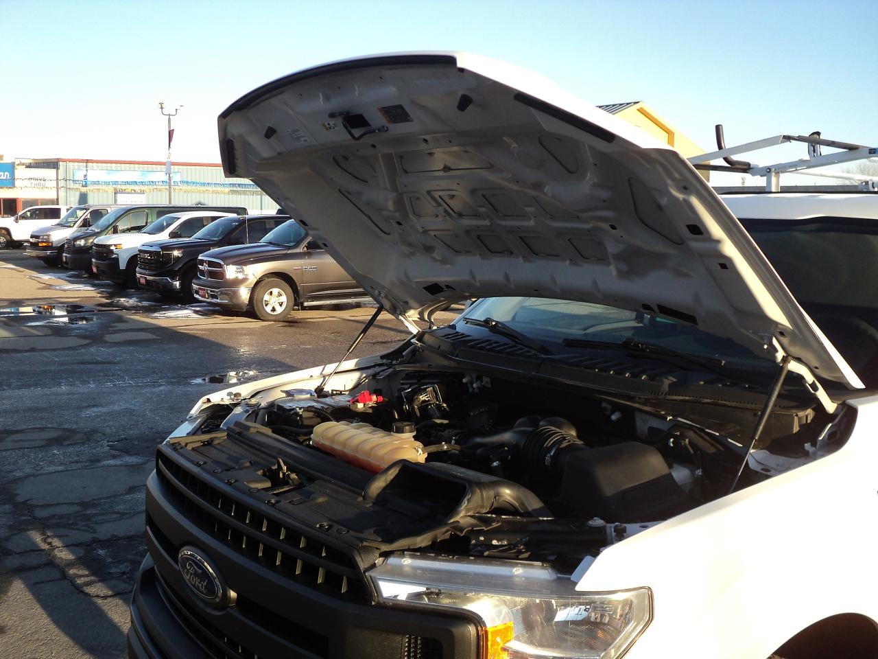 2019 Ford F-150 XL RegCab  4WD 3.3L6cylGas  6.5' BOX BackUpCam Photo