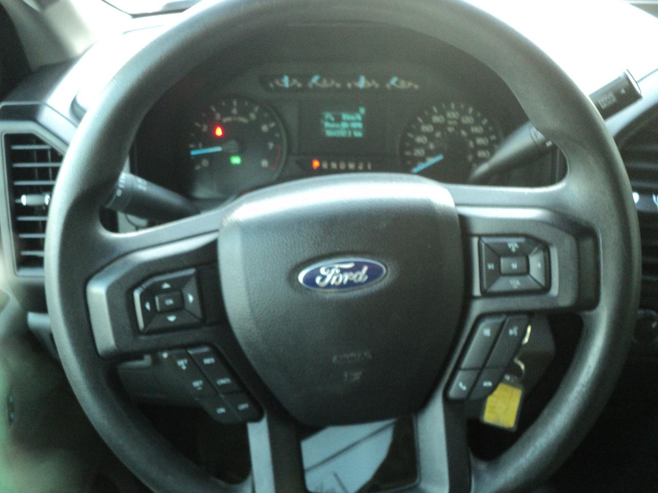 2019 Ford F-150 XL RegCab  4WD 3.3L6cylGas  6.5' BOX BackUpCam Photo