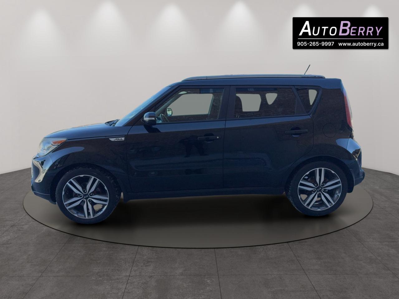 2016 Kia Soul 5DR WGN AUTO SX Photo