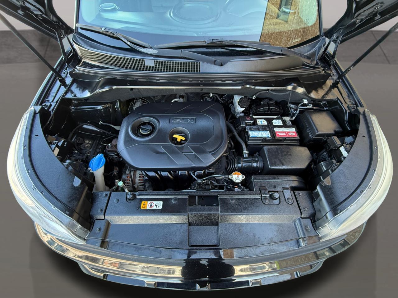 2016 Kia Soul 5DR WGN AUTO SX Photo