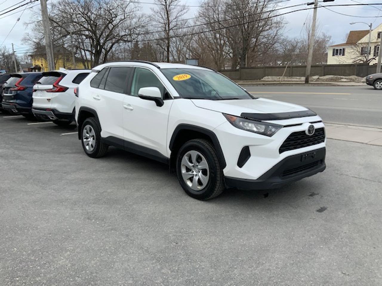 2019 Toyota RAV4 LE Photo3