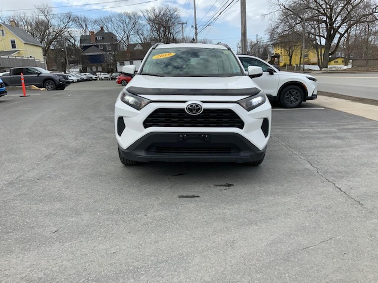 2019 Toyota RAV4 LE Photo