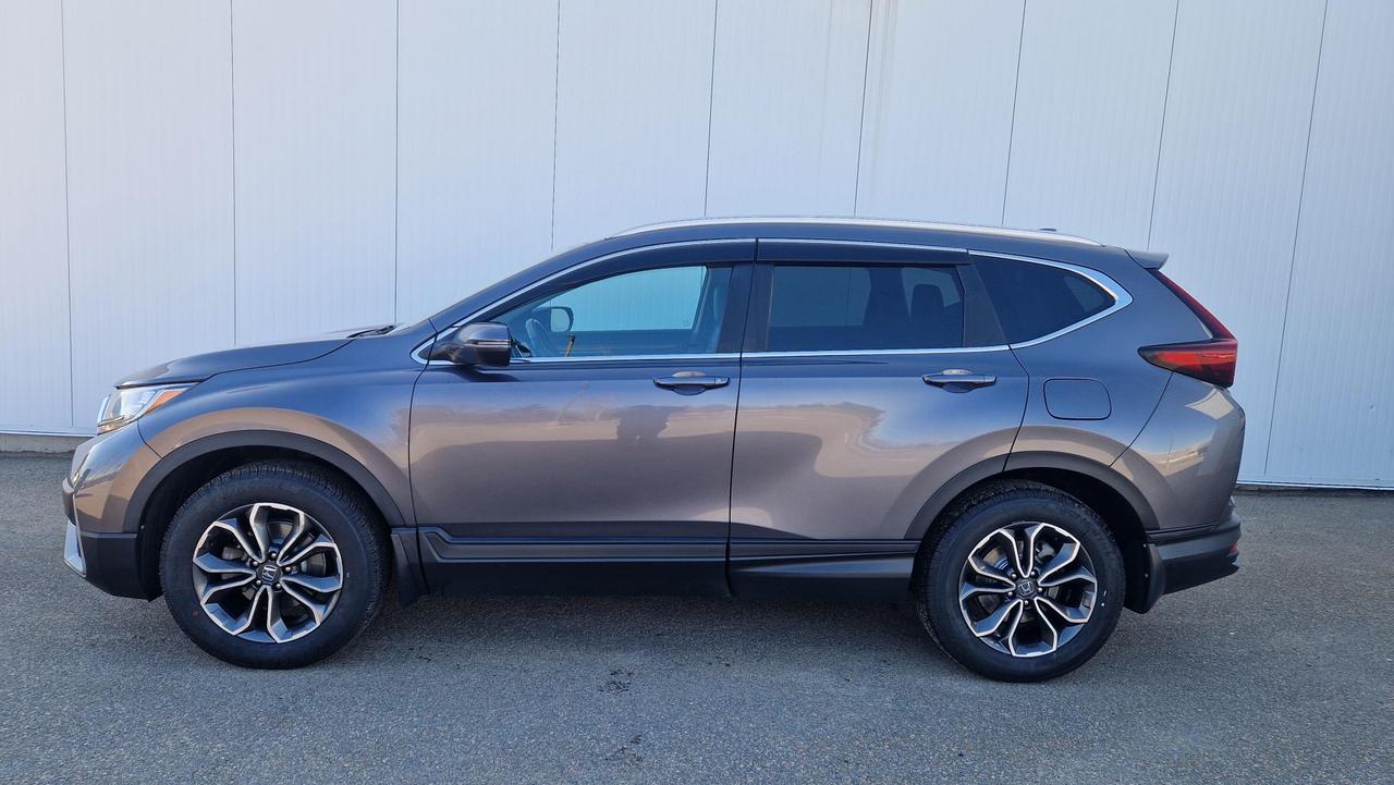 2021 Honda CR-V CR-V EX-L Photo
