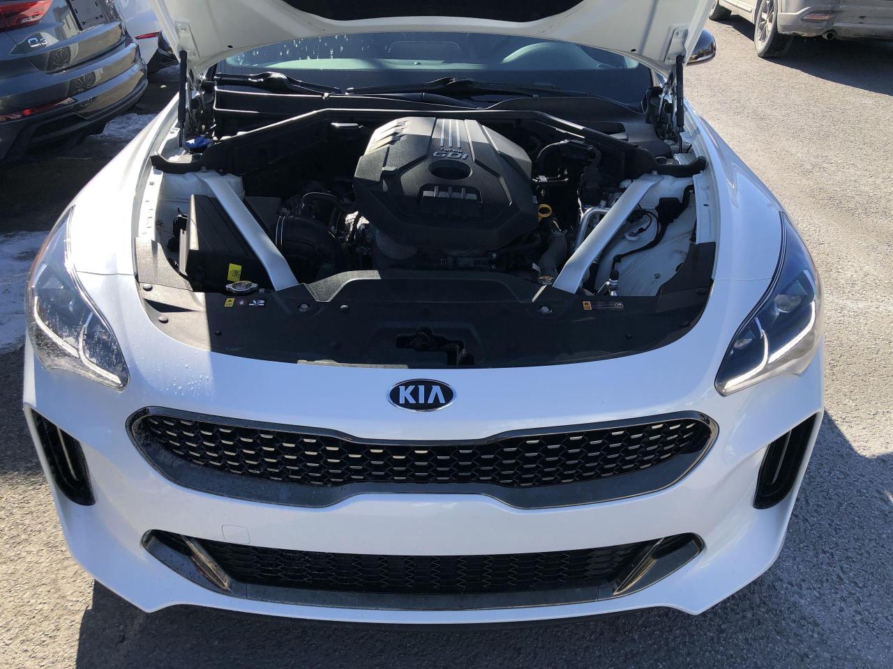 2019 Kia Stinger GT-Line AWD, 225HP, LEATHER, HTD. SEATS & STEER. W Photo