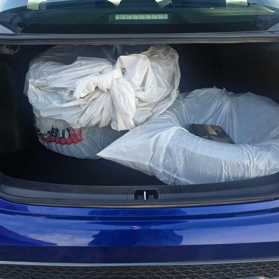 2020 Toyota Corolla SE CVT Photo