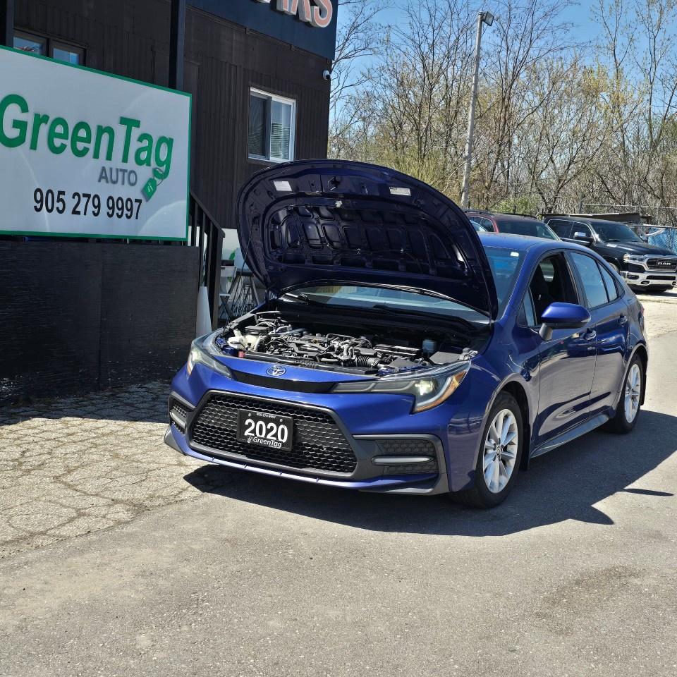 2020 Toyota Corolla SE CVT Photo