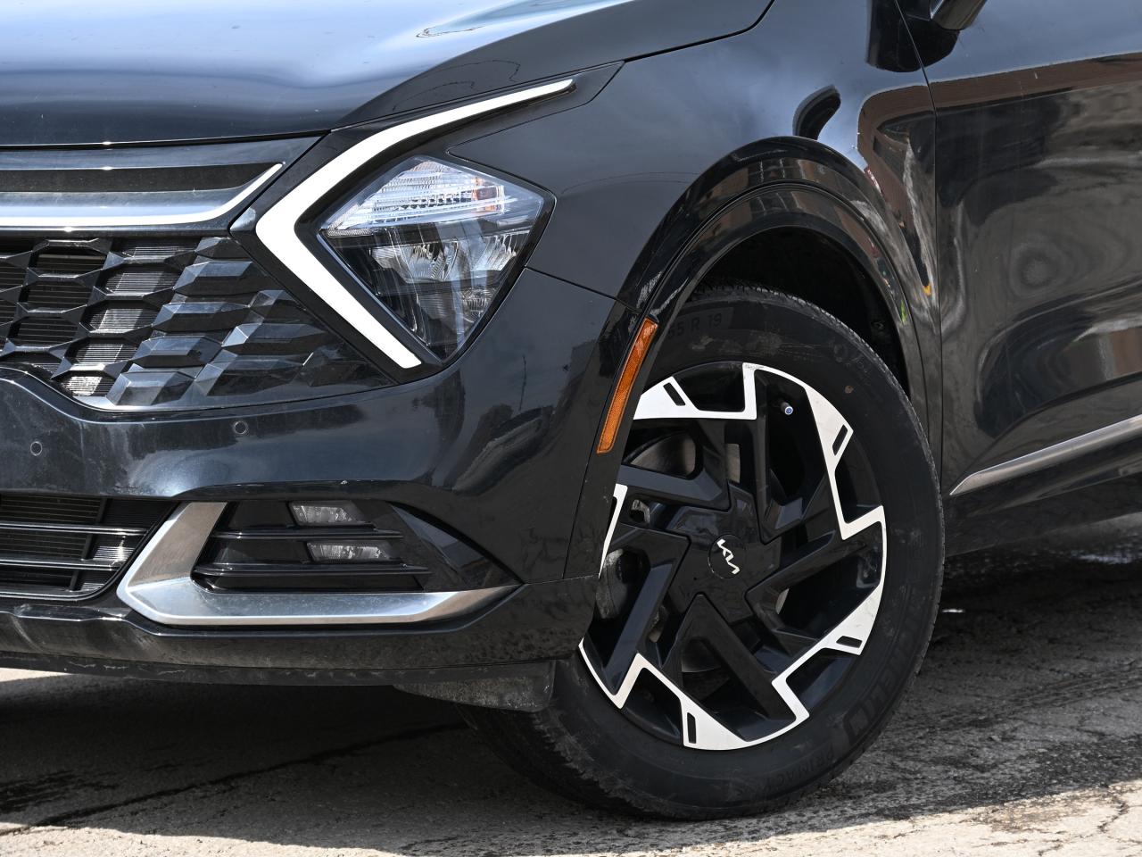 2023 Kia Sportage EX Premium Photo