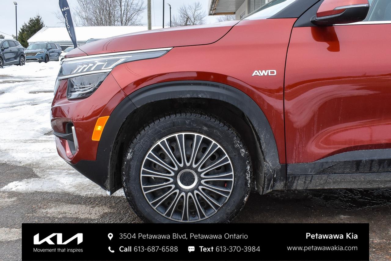 2023 Kia Seltos SX Turbo w/Black Interior 4dr All-Wheel Drive Photo