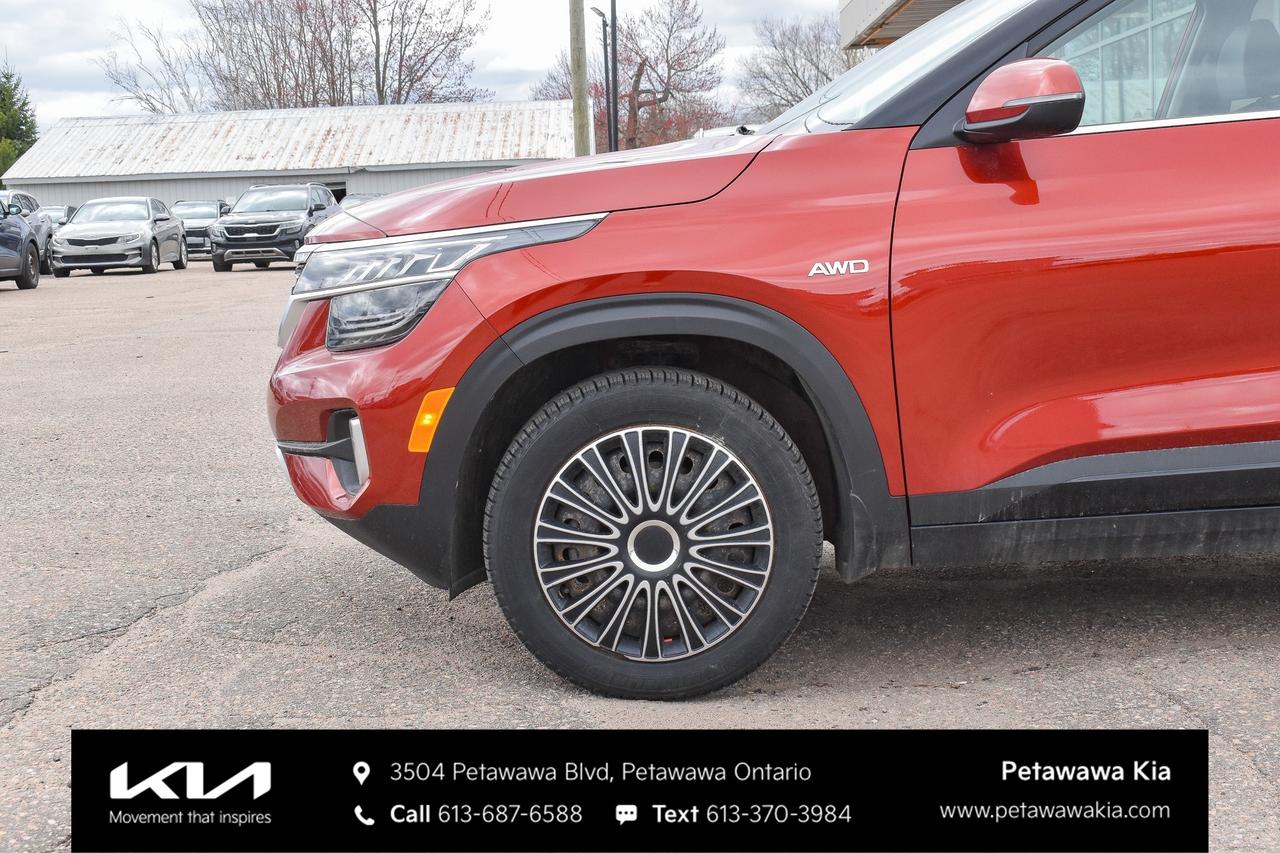 2023 Kia Seltos SX Turbo w/Black Interior 4dr All-Wheel Drive Photo