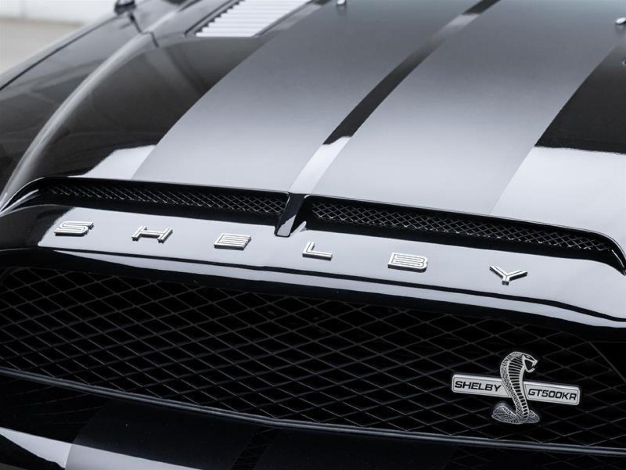 2009 Ford Mustang Shelby  Photo