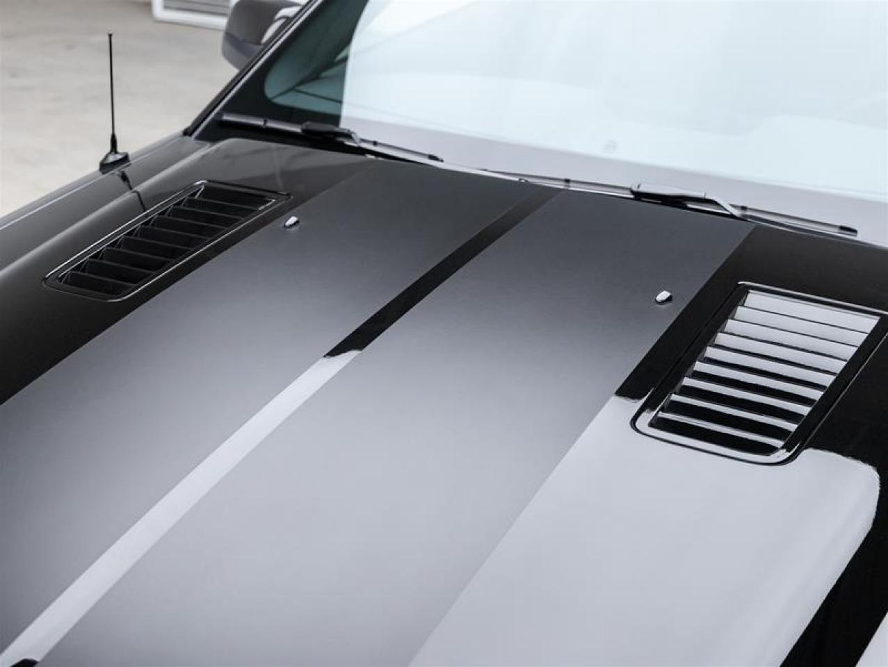 2009 Ford Mustang Shelby  Photo