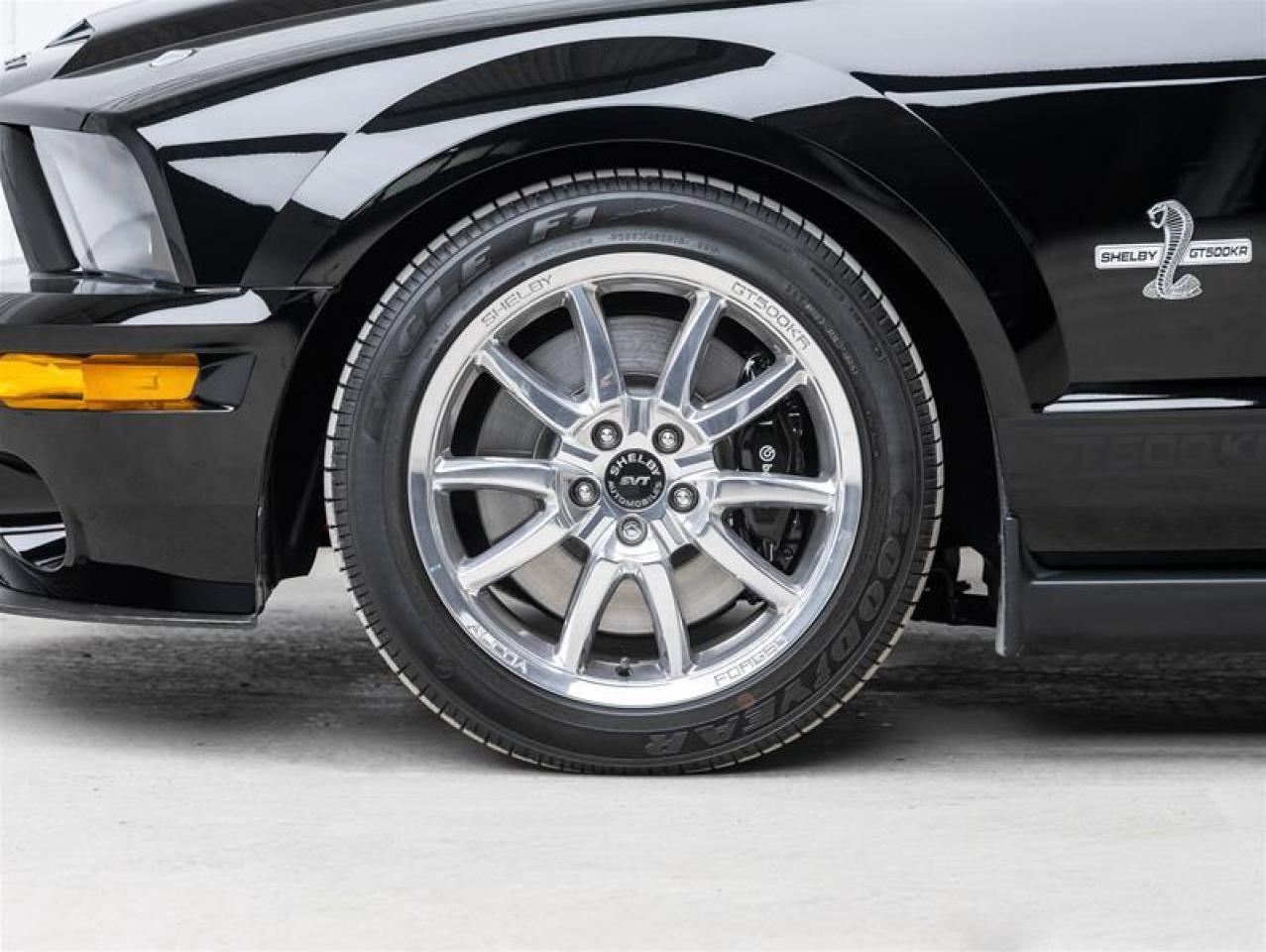 2009 Ford Mustang Shelby  Photo