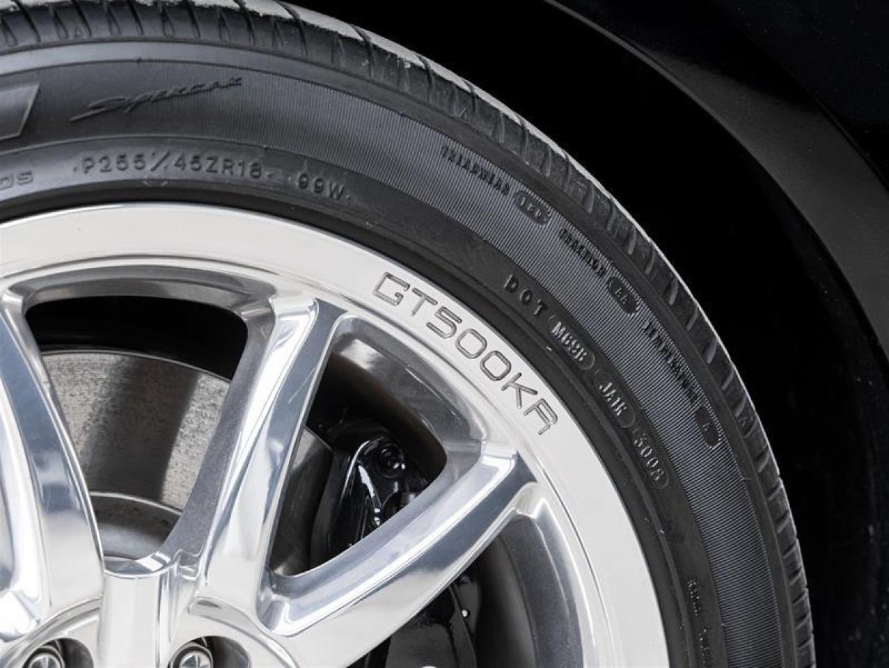 2009 Ford Mustang Shelby  Photo