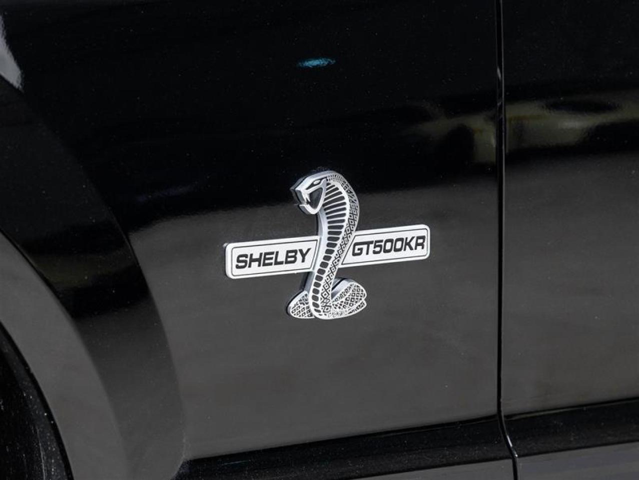 2009 Ford Mustang Shelby  Photo