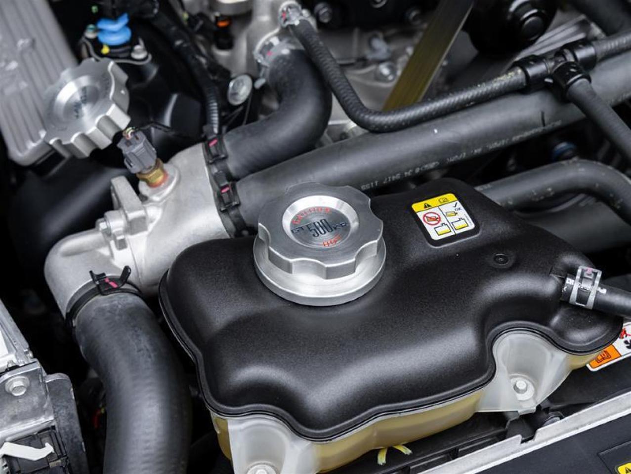 2009 Ford Mustang Shelby  Photo