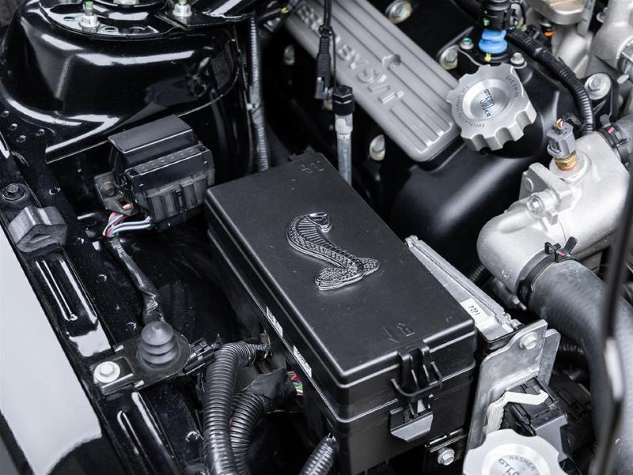 2009 Ford Mustang Shelby  Photo