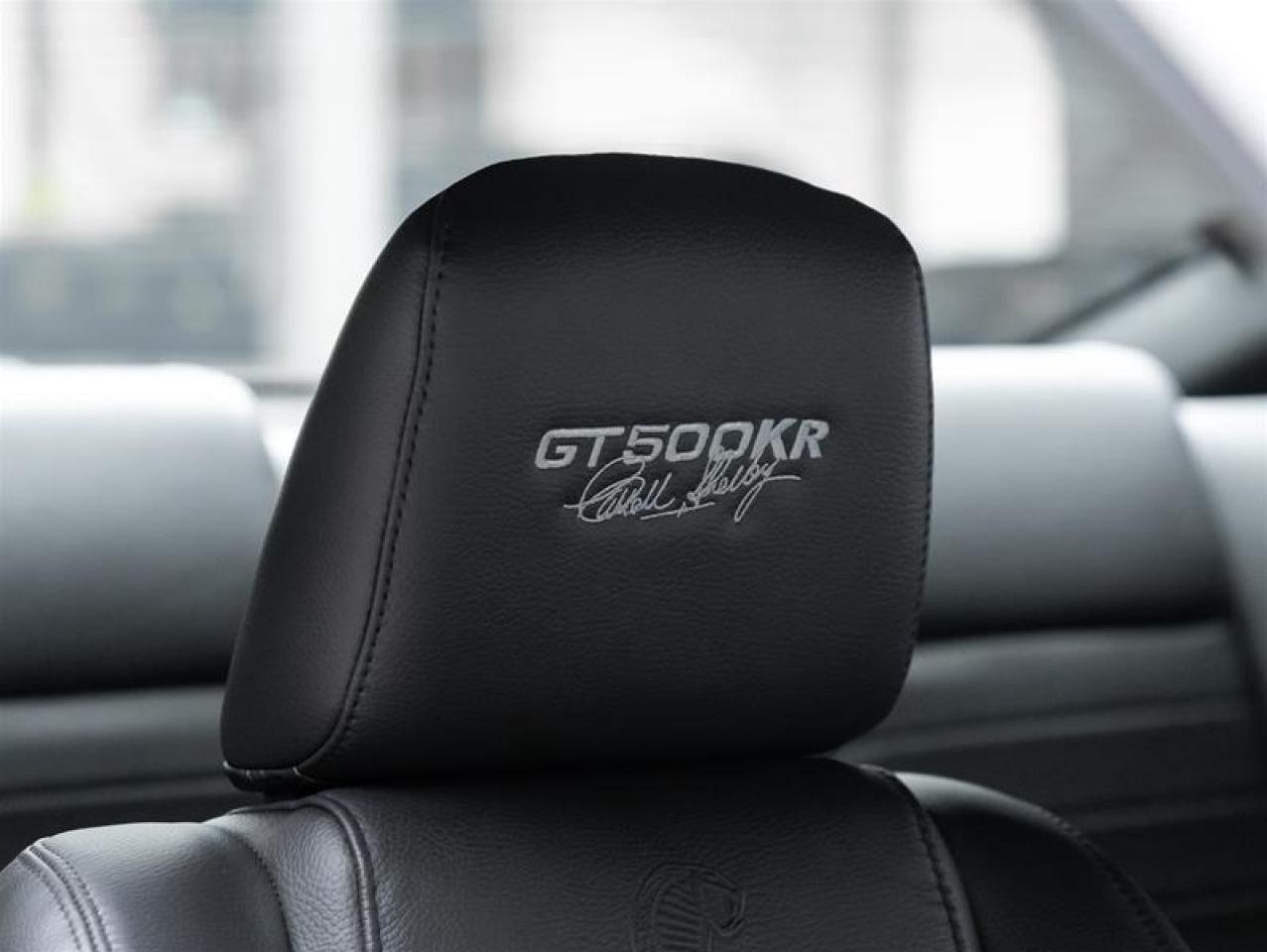 2009 Ford Mustang Shelby  Photo