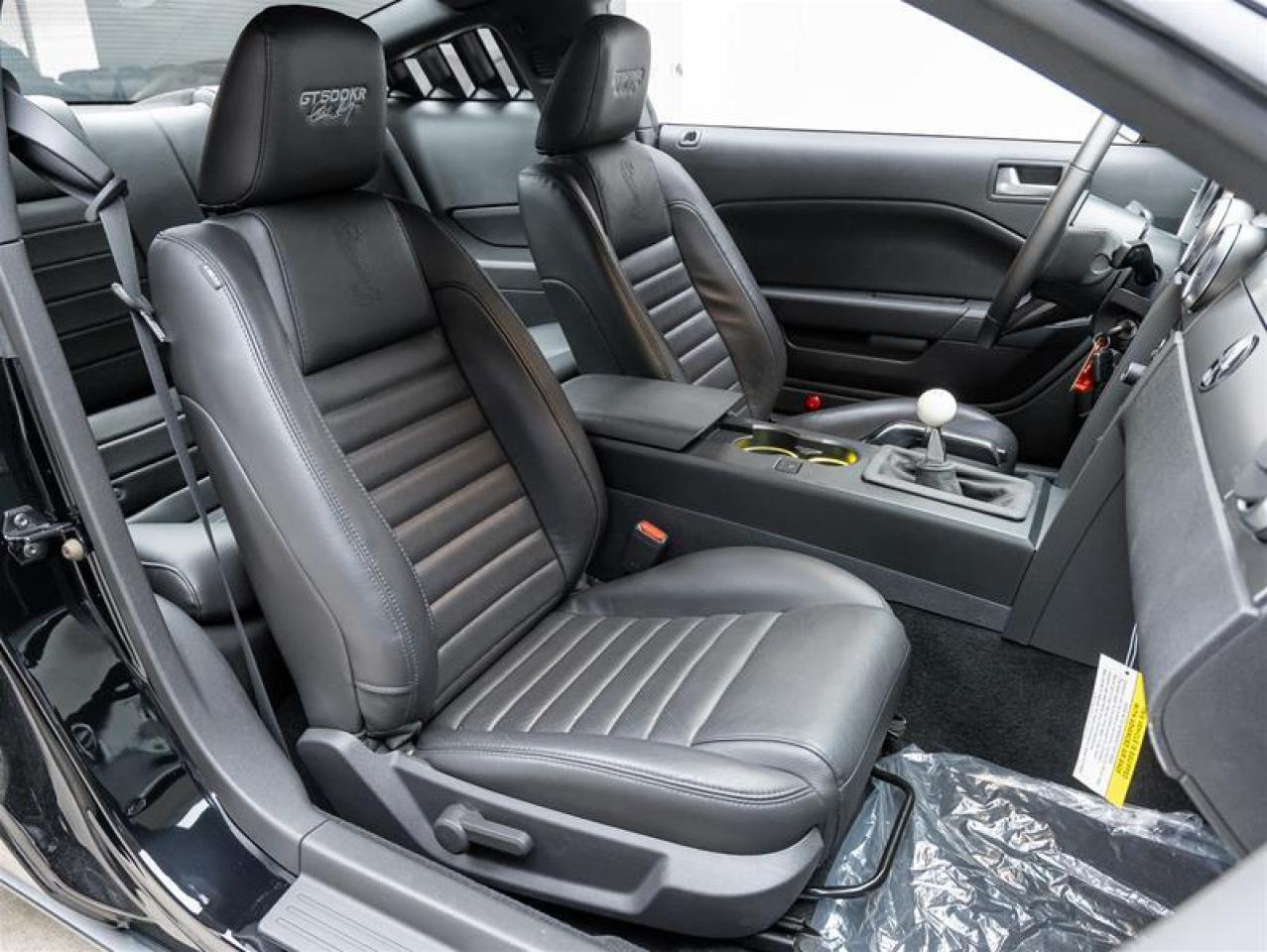 2009 Ford Mustang Shelby  Photo