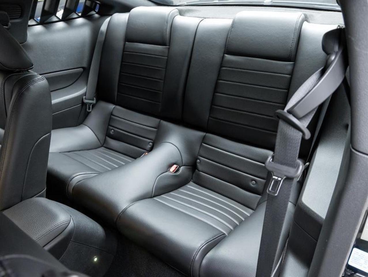 2009 Ford Mustang Shelby  Photo