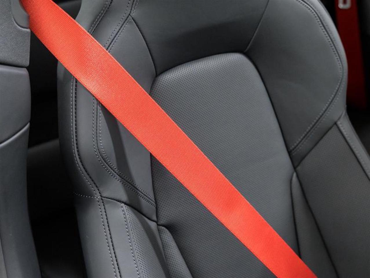 2026 Porsche 911  Photo