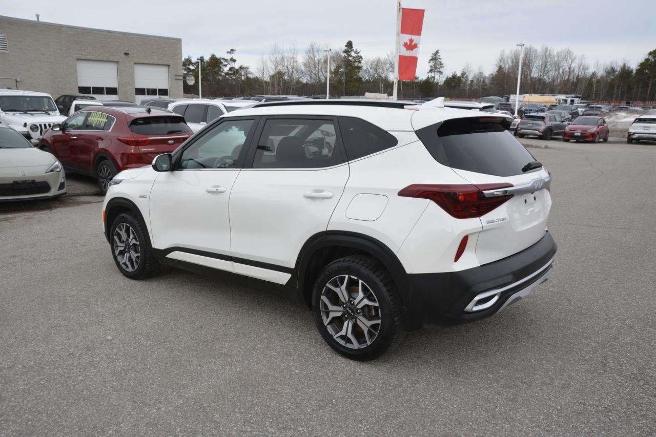 2023 Kia Seltos  Photo