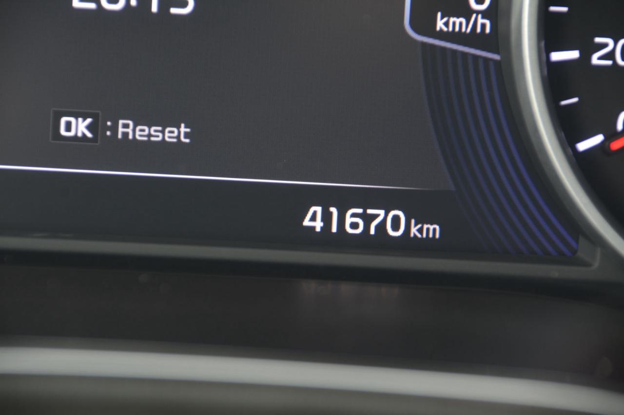 2023 Kia Seltos  Photo