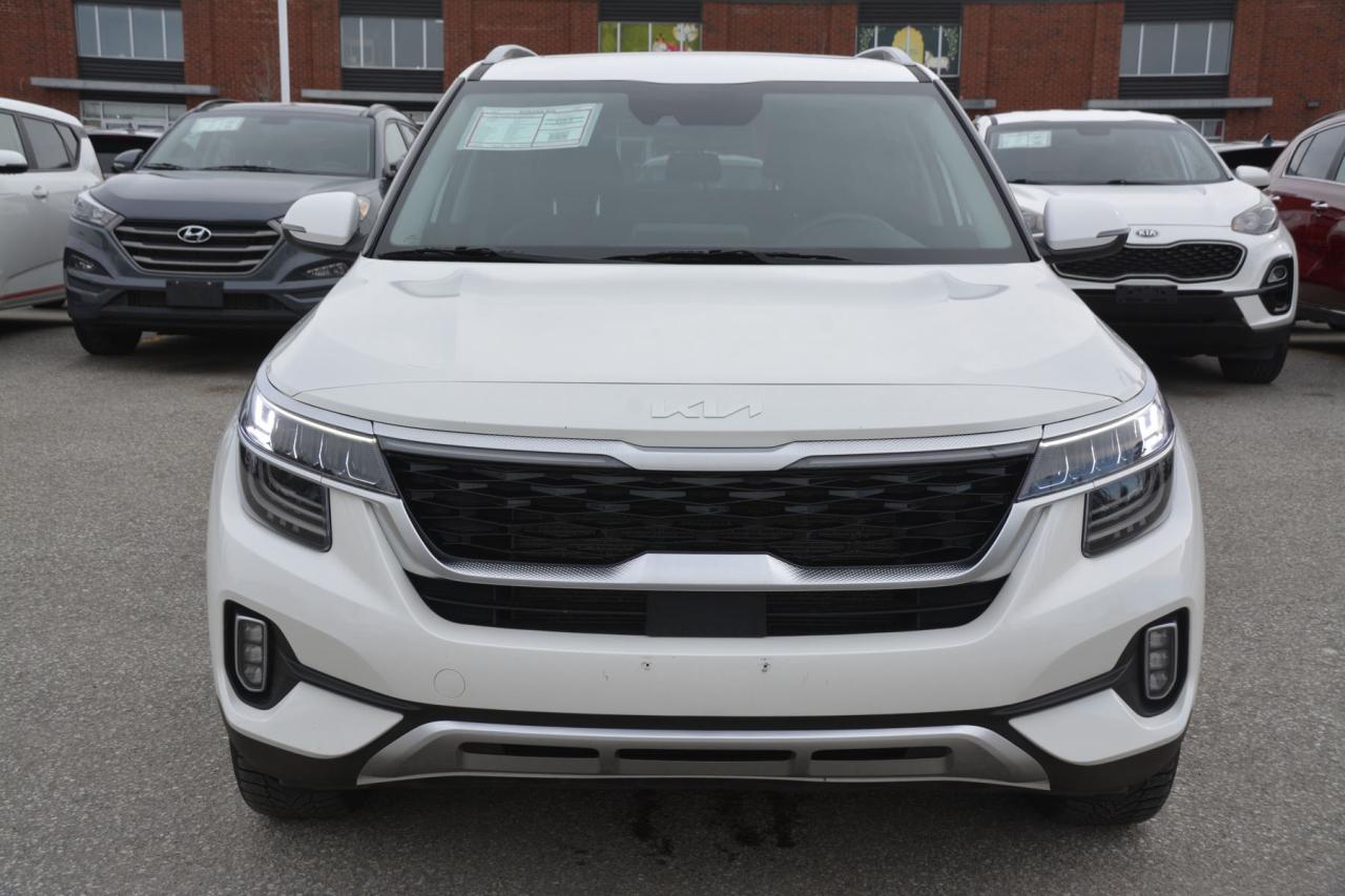 2023 Kia Seltos  Photo