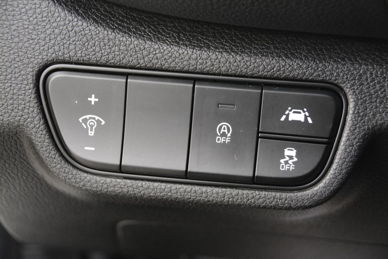 2023 Kia Seltos  Photo