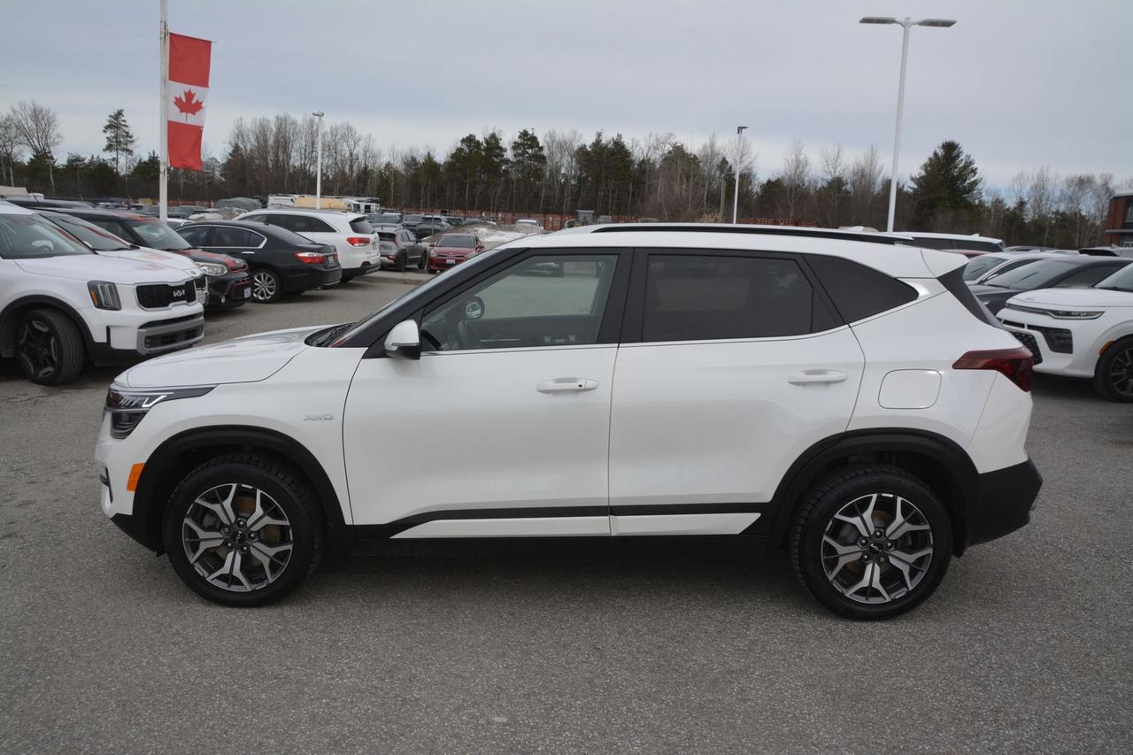 2023 Kia Seltos EX PREMIUM AWD Photo