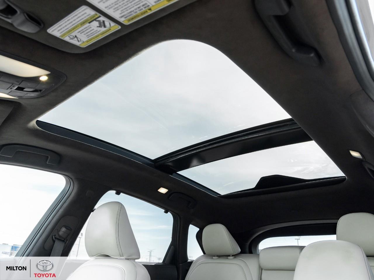 2019 Infiniti QX50 SENSORY BOSE SOUND PANORAMIC SUNROOF SEMI ANILINE Photo
