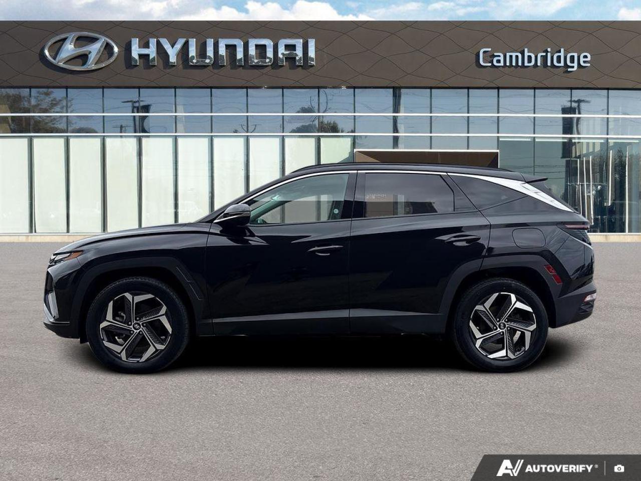 2024 Hyundai Tucson Hybrid Ultimate Photo